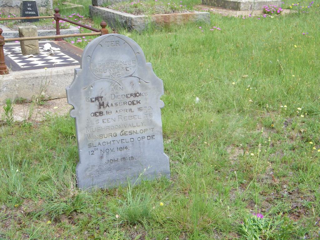 Reitz Haasbrook grave